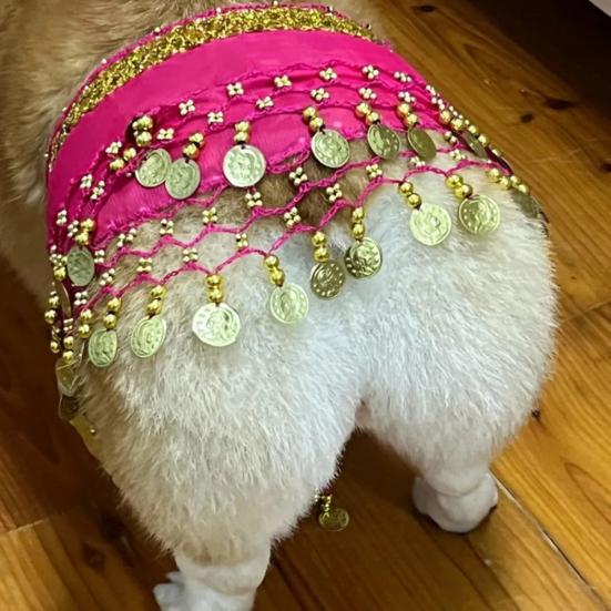 Dog Belly Dance Costume Corgi Dog Waist Chain Butt Curtain Clothes with