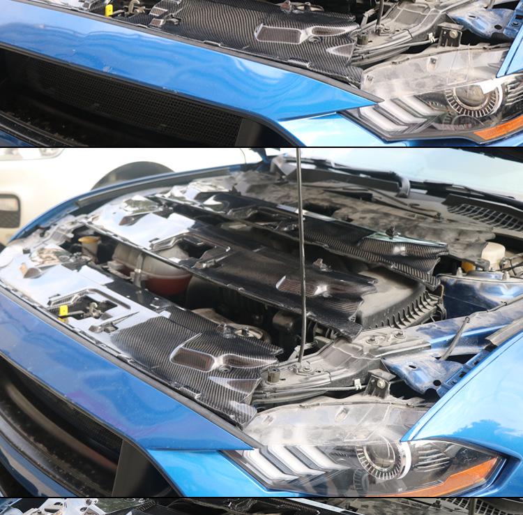 Carbon Fiber Radiator Cover & Hood Latch Guard for 2018-2023 Ford Mustang