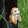 Meerkat Garden Animal Statue Housewarming Gift Funny Meerkat Figurine for Balcony Home Decoration Tabletop Outside Garden Decor