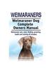 Книга Weimaraners. Weimaraner Dog Complete Owners Manual. Weimaraner Care, Costs, Feeding, Grooming, Health and Training All Included.