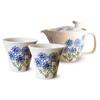 Kunzan Kiln Teapot and Teacup Pair Set, Hasami Ware, Made In Japan, 240ml130ml Capacity, 1-2 Person, Tea Strainer Included, Wildflower