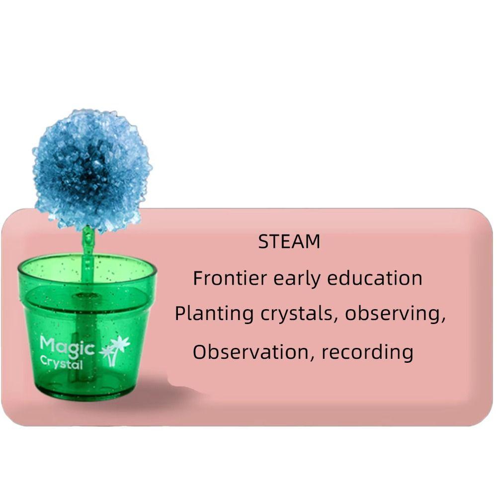 Colored Crystals Crystal Trees Growing Kit Flower Shaped Crystal Making Kit Girls