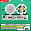 Потолочная акустическая система SANSUI с Bluetooth-усилителем, штекер CN (адаптер в комплекте) (Китайская версия)