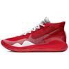 Kd 12 Tb 'University Red' CN9518-601