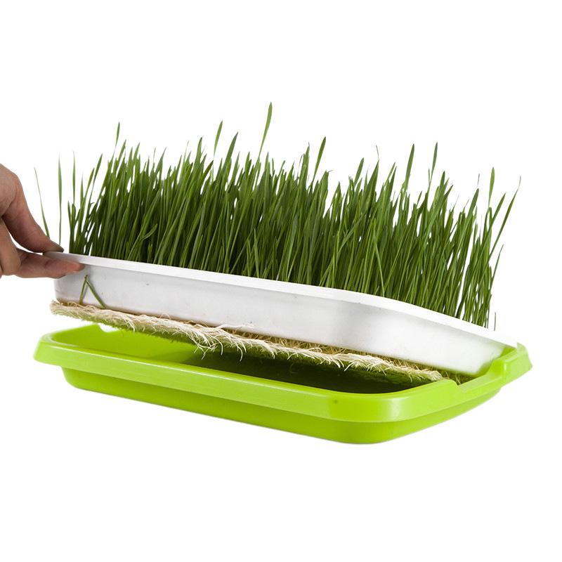 Seedling & Sprout Tray for Hydroponic Vegetables