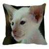 Thailand Cat Theme Pattern Double-Sided Printed Pillow Cover Short Plush Suitable Living Rooms Bedrooms Sofa Throw Cushion Cover