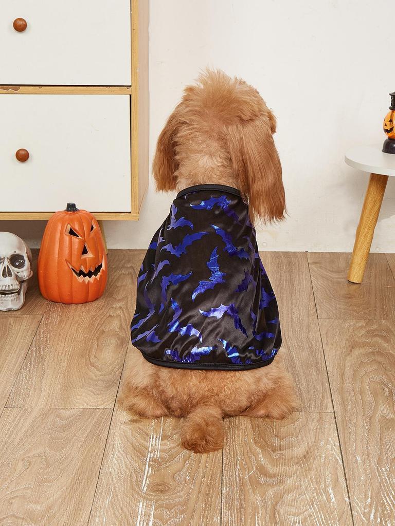 Magic Halloween Cloak for Small Dogs & Cats - Teddy Poodle Costume