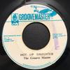7-дюймовая пластинка ROMAN STEWART GROOVE MASTER Дочь любит горячее Hot Up Daugh NONE Groovemaster 1975 Ямайка Регги Ска Даб Б/у