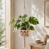 Cotton Rope Macrame Plant Hanger 7.87in Suspended Storage Basket Handwoven Rope Basket  Home