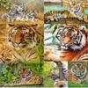DIY 5D алмазная живопись Тигр жизнь Алмазная мозаика наборы крестиков украшение дома полная круглая алмазная вышивка