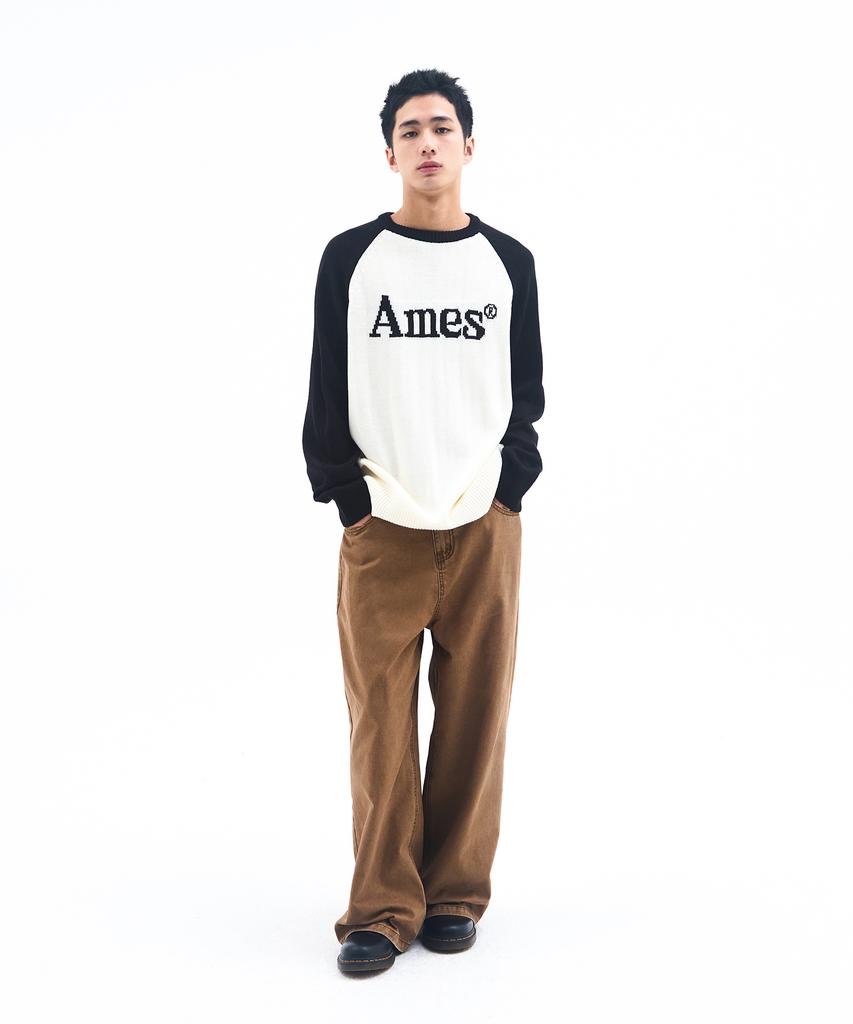 AMES-WORLDWIDE Basic Raglan Pullover Knit Ivory