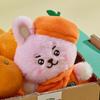 BT21 Маленькая кукла Апельсиновая вечеринка для малыша