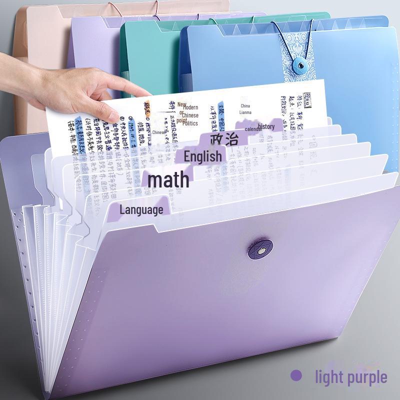 Симпатичная прозрачная папка-гармошка с 12 отделениями для документов формата А4 и студенческих работ
