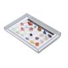 Mineral Rock Collection Kit Fun Attractive Rock Science Educational Kit with Clear Display Case for