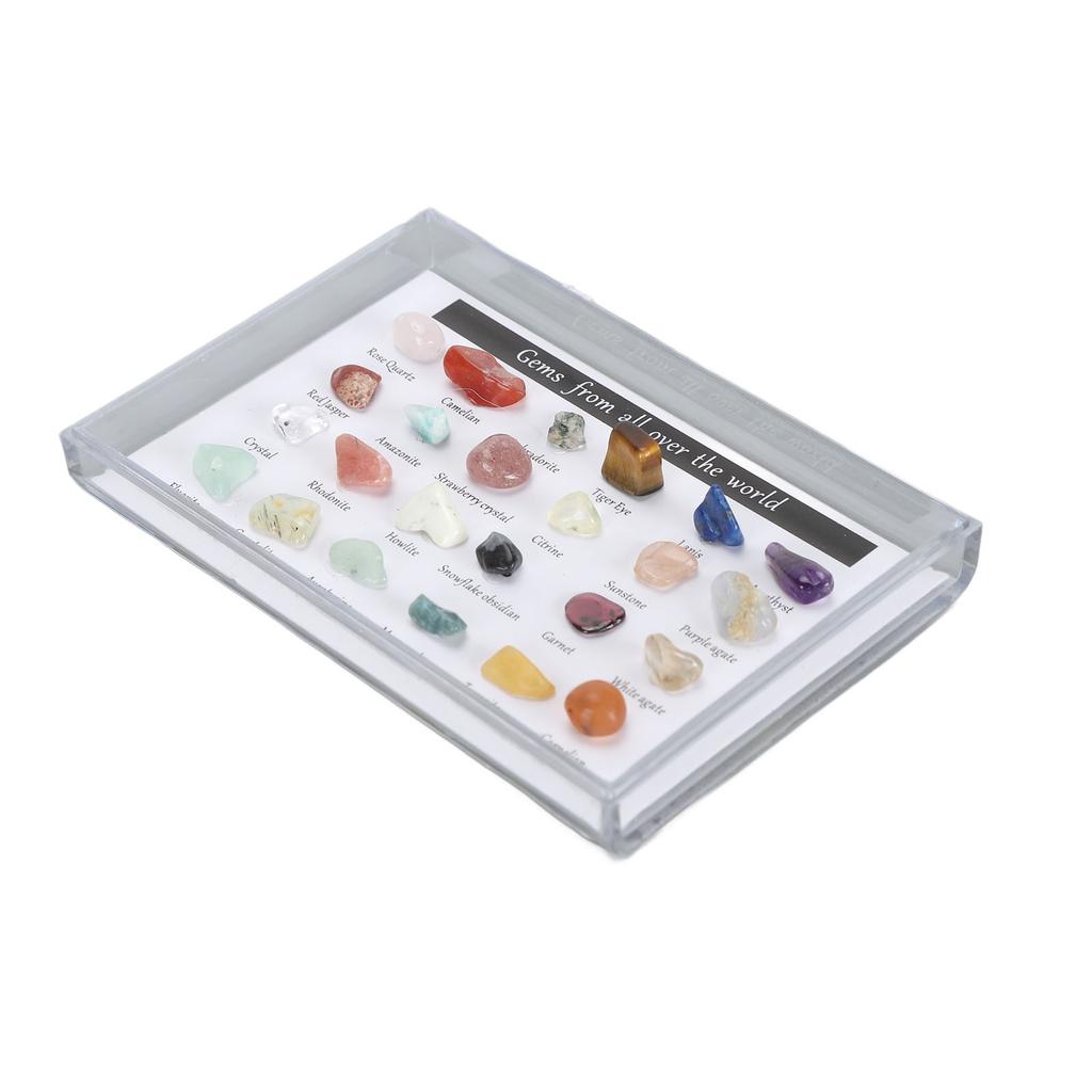 Mineral Rock Collection Kit Fun Attractive Rock Science Educational Kit with Clear Display Case for