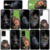 Чехол для iPhone 16 15 Xiaomi Redmi Note 14 13 12 11 Pro Max X 8 9 16e Samsung Galaxy S25 S24 S23 Moto OPPO Huawei Gorilla Ape Monkey Baby Phone Case