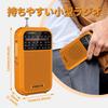XHDATA D220 Compact AMFM Shortwave Radio with Wide FM Compatible, Portable Pocket Radio, High Sensitivity, Loud Volume, AA Battery Compatible,