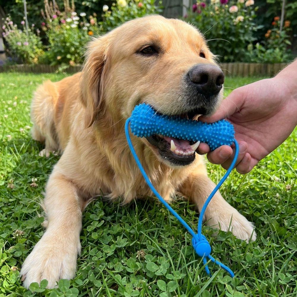 Bite-Resistant Pet Teeth Cleaning Toy with Rope Interactive Dog Toy Dog Chew Stick Interactive Tug