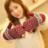 Fashion Women's Double-layer Thickened Thermal Bag Mittens, Autumn and Winter Outdoor Boys and Girls Couple Rabbit Wool Gloves