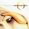 LP Record A PERFECT CIRCLE - Thirteenth Step 724358091816 Virgin 2003 US Rock