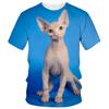Летние милые футболки с изображением кошек-сфинксов, животные, 3D-принт, мужские и женские футболки с круглым вырезом и коротким рукавом, футболки Harajuku Y2k, детские топы, одежда
