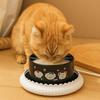 Constant Temperatur Heated Pet Water Dispenser Ceramics Cat Water Fountain  Winter
