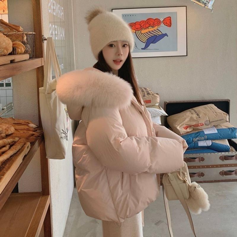 Big fur collar hooded short polyester cotton clothes women's autumn and winter new loose thickened cotton-padded warm jacket