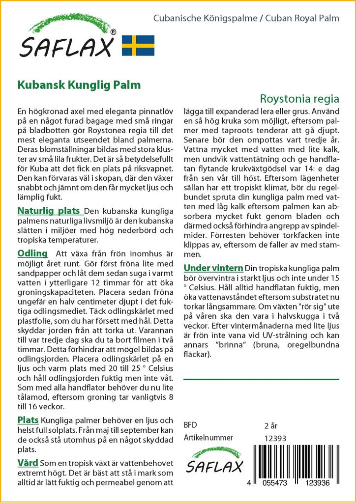 SAFLAX Cuban Royal Palm - 8 семян - С горшечным субстратом для лучшего выращивания - Roystonia regia