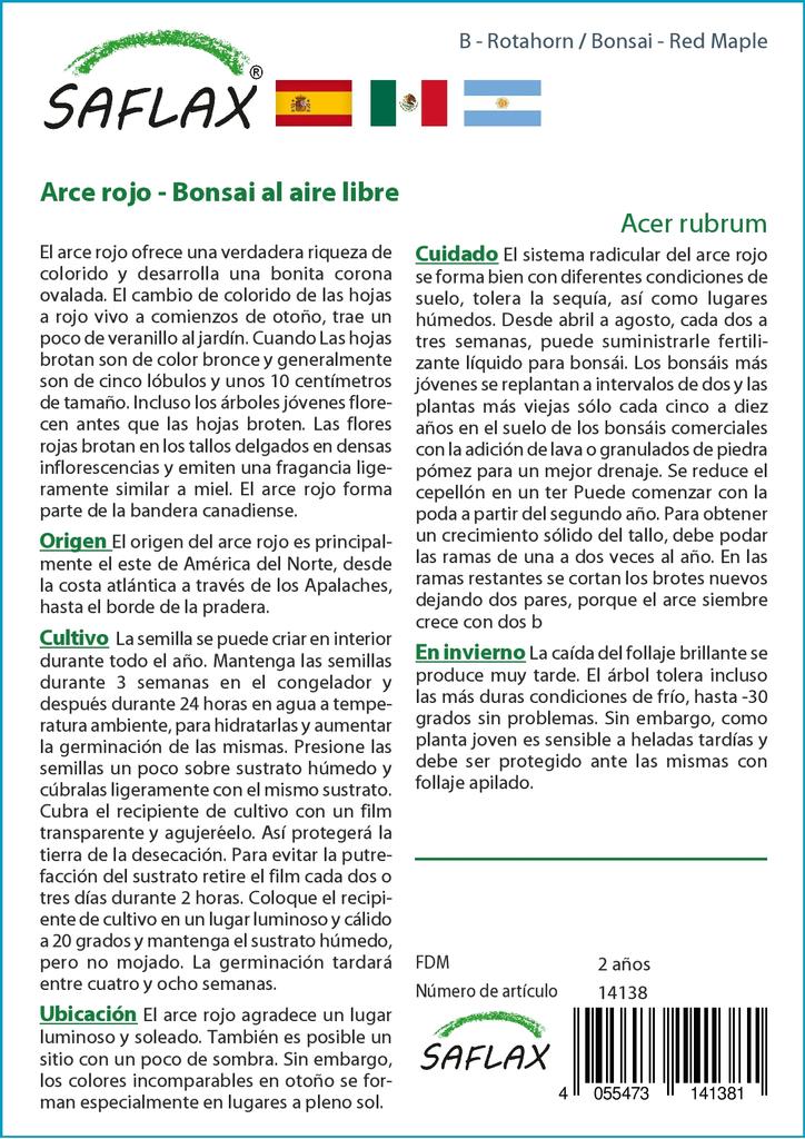 SAFLAX Бонсай - Красный клен - 20 семян - С горшечным субстратом для лучшего выращивания - Acer Rubrum