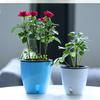 Lazy Flower Pot Water Plant Flower Pot/Self-watering Flower Pot with Visible Water Level, Root Care Nursery Flower Pot, Indoor