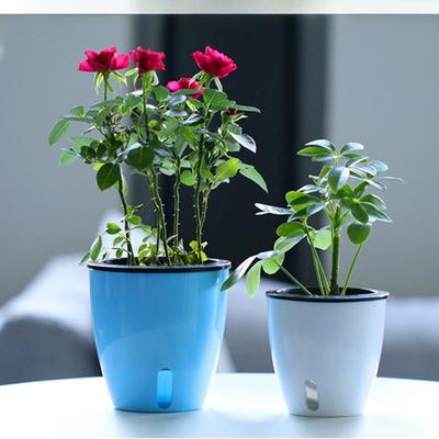 Ленивый цветочный горшок для водных растений, цветочный горшок/самополивающийся цветочный горшок с видимым уровнем воды, питомник для ухода за корнями, комнатный