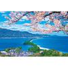 1000 Piece Jigsaw Puzzle Amanohashidate In Bloom (50x75cm)