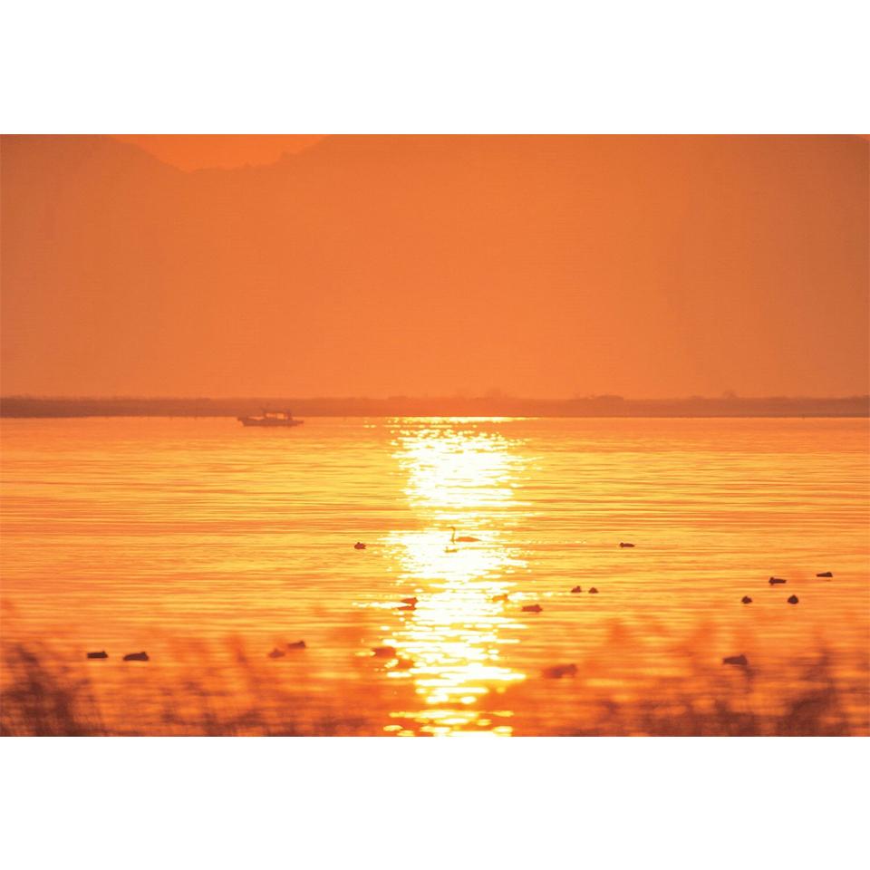 5D DIY Diamond Painting Sunset Scenery Picture Full Diamond Embroidered Mosaic Gift Home Decoration Painting Kit