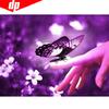 Diamond Embroidery Butterfly Mosaic Animal Rhinestone Diamond Painting Cross Stitch