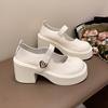 Coarse heel platform small leather shoes women's 2025 spring new French heightening Mary Jane shoes small high heel loafers