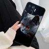 Серый Британский Короткошерстный Кот Чехол Для Oppo A54 A74 A94 A18 A57 A17 A77 A38 A58 A78 A98 A80 A60 A40 A96 A76 A16 A15 A5 Pro
