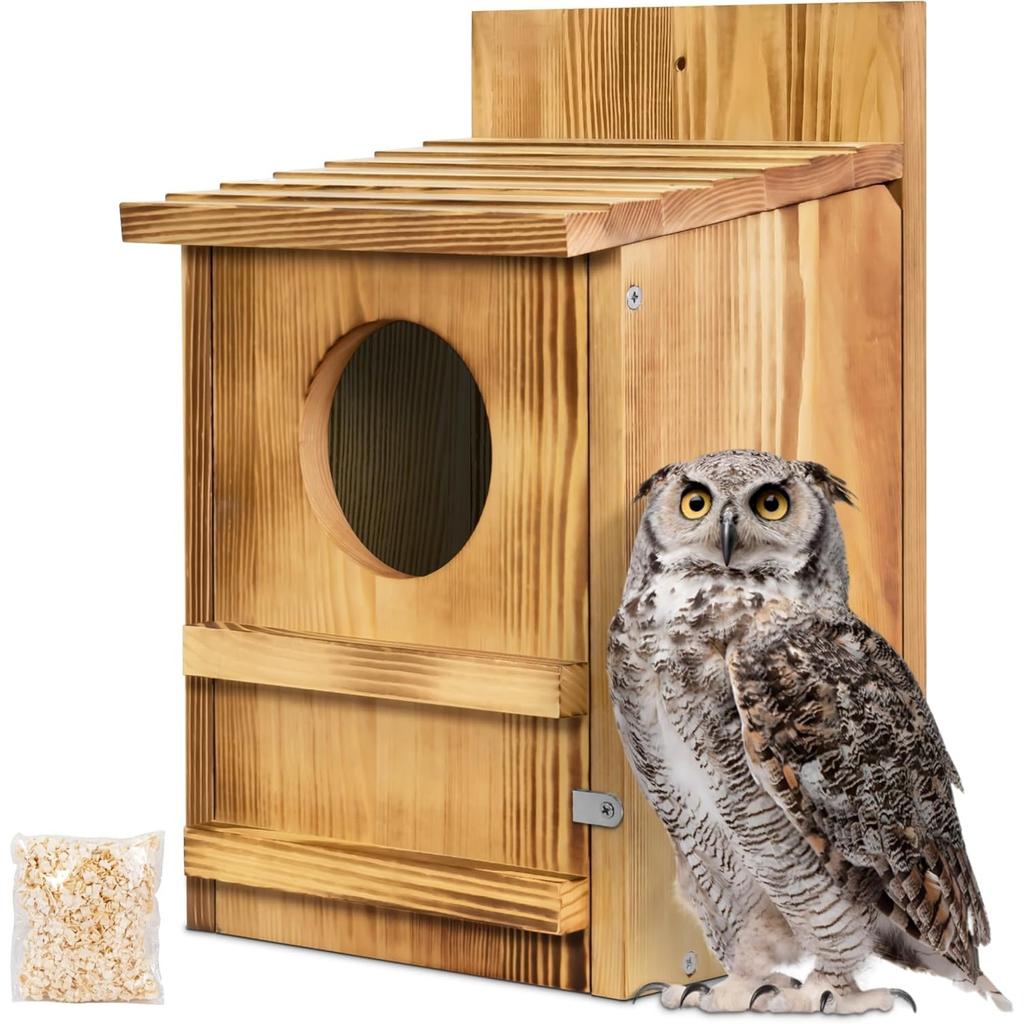 Screech Owl House, Large Wooden Circular Opening Screech Box for Outside