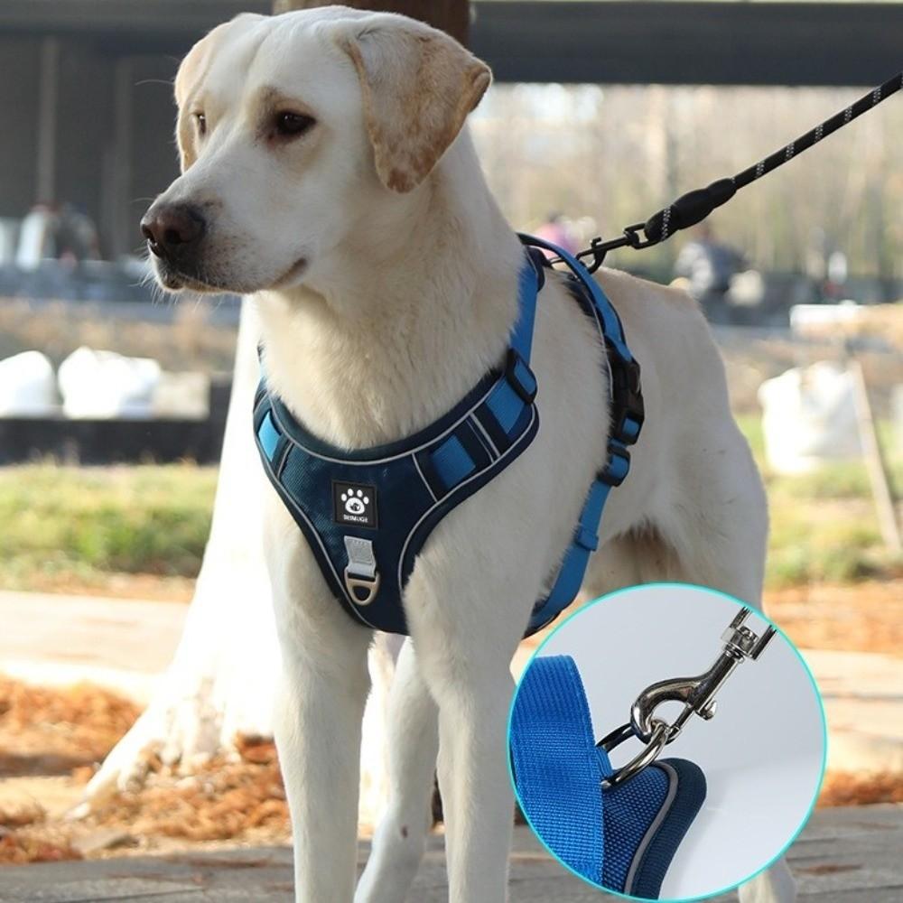 Multi-Point Adjustment Anti-Pull Dog Harness Reflective Dog Leash Dog Chest Strap Daily Walks