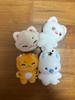 Matthew dolls (bulk) Used