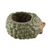 Ceramic Cartoon Animal Planter Small Succulent Plant Pot Ornament Hedgehog Flowerpot  Home