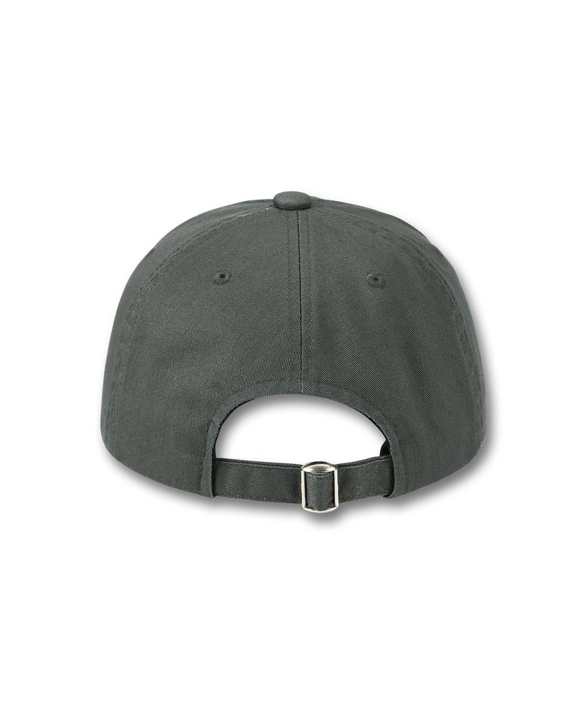 DOLPHIN WAVE APPAREL Серая кепка-бейсболка с вышивкой Dolphin Mini