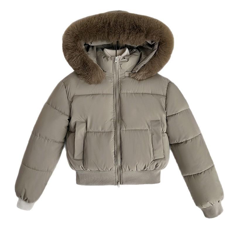 Winter new fashion versatile hooded down cotton clothes short big fur collar thickened loose small coat