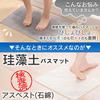 Iris Plaza Diatomaceous Earth Bath Mat, Tested, Marble-Look, Anti-Mold, Anti-Dust Mite, Large (60x39cm), 60cm Wide x 39cm Deep x 0.9cm High, BMD-6039U