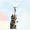Acrylic Kitten Keychain 2D Flat Animal Key Ring Charm, Backpack and Key Decorative Accessories, Ring Ring Birthday Gift