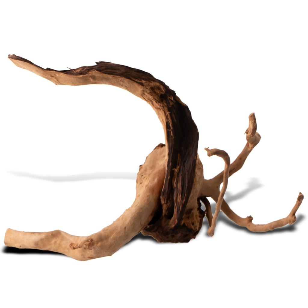 Japanese Natural Aquarium Root 20-50L Mizube Ryuboku