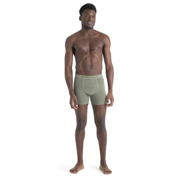 Icebreaker Anatomica Boxers