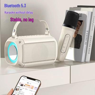 Bluetooth-колонка для караоке SooPii BT22 с китайской вилкой (адаптер в комплекте)