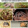 Акриловый террариум для рептилий, прозрачный аквариум-habitat для паука, богомола, геккона, маисового полоза, разводной ящик с вентиляционными отверстиями