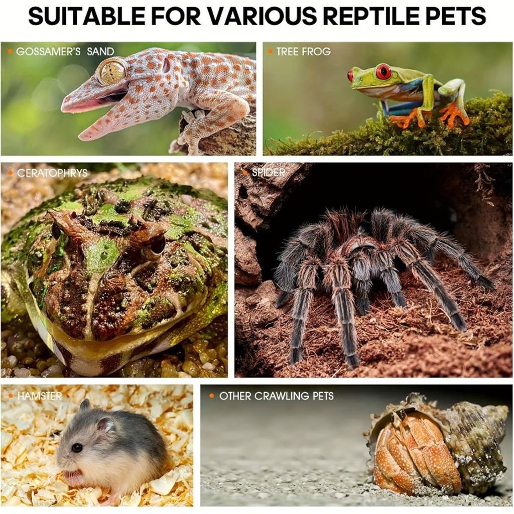 Акриловый террариум для рептилий, прозрачный аквариум-habitat для паука, богомола, геккона, маисового полоза, разводной ящик с вентиляционными отверстиями