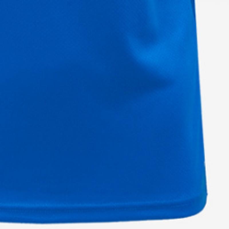 Puma Galleria Puma Team Goal Мужская футболка S Round с коротким рукавом синяя